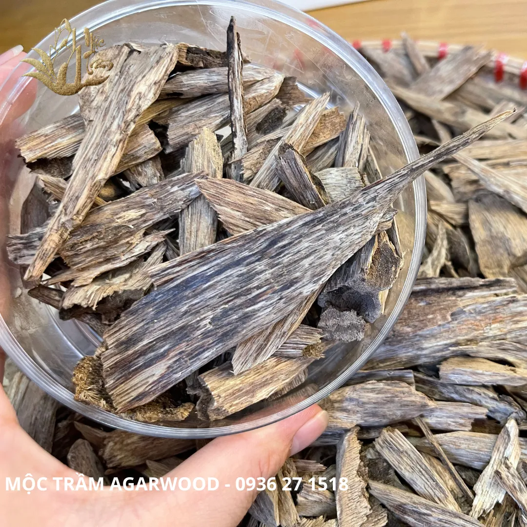 High-Oil Agarwood Chips – “Kien Toc” Vietnamese Wild Oud (Limited Collection | Multi-Weight Options)